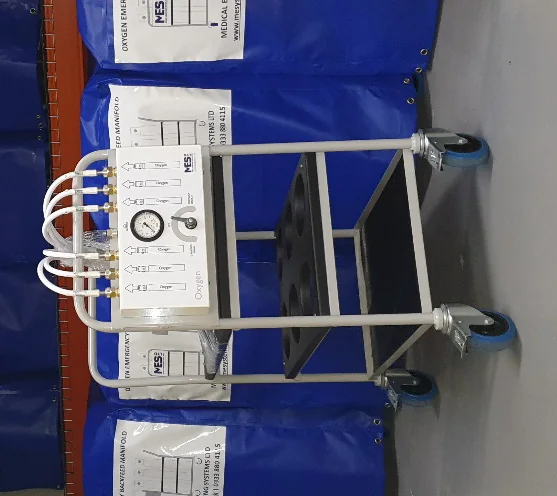 Portable cryogenic dewar on its trolley