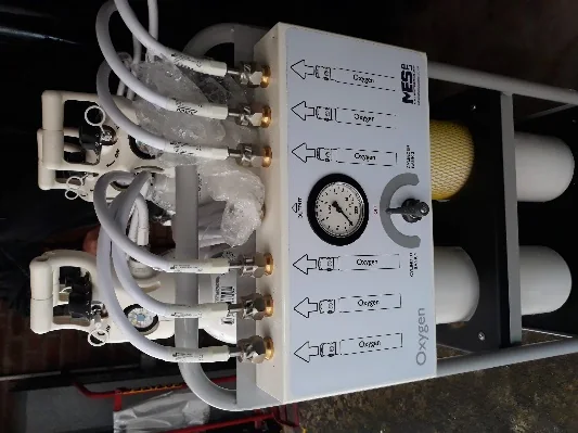 Oxygen manifold and pressure regulators